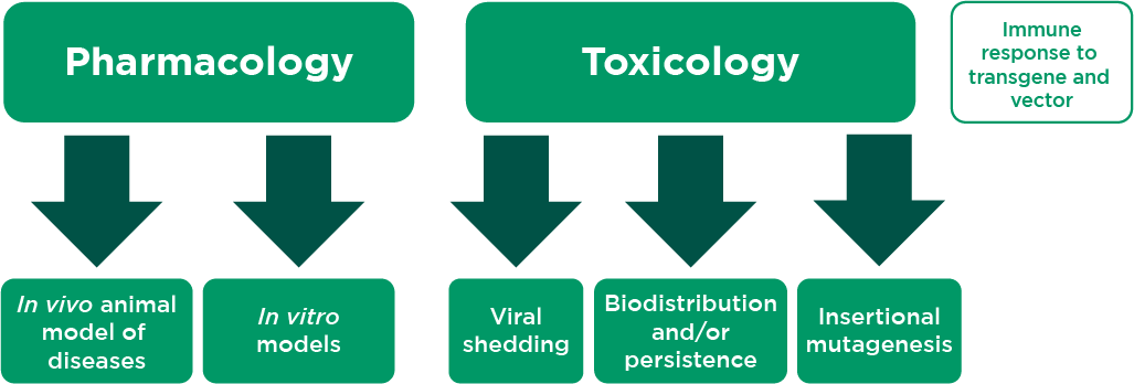 gene therapy Pharmacology and Toxicology