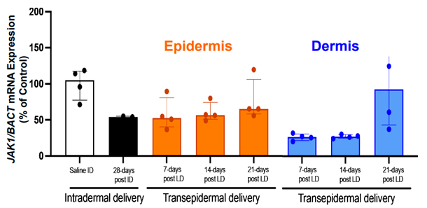 Long-Lasting Functional Efficacy Using STAR Particles®